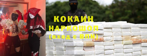 прущие грибы Кулебаки
