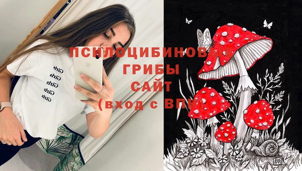 прущие крисы Абаза