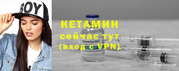 прущие грибы Кулебаки