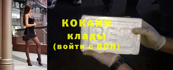 прущие грибы Куйбышев