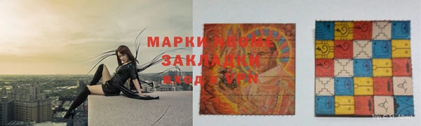 прущие грибы Куйбышев
