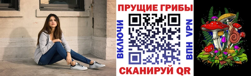 Галлюциногенные грибы Psilocybe  закладка  блэк спрут зеркало  Чулым 